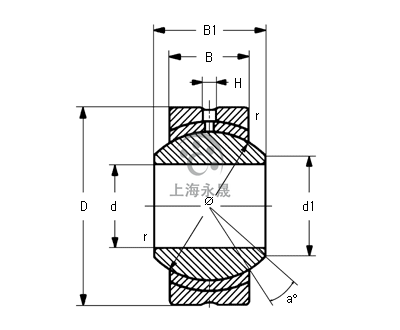 JS 14