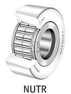 NUTR 1535R